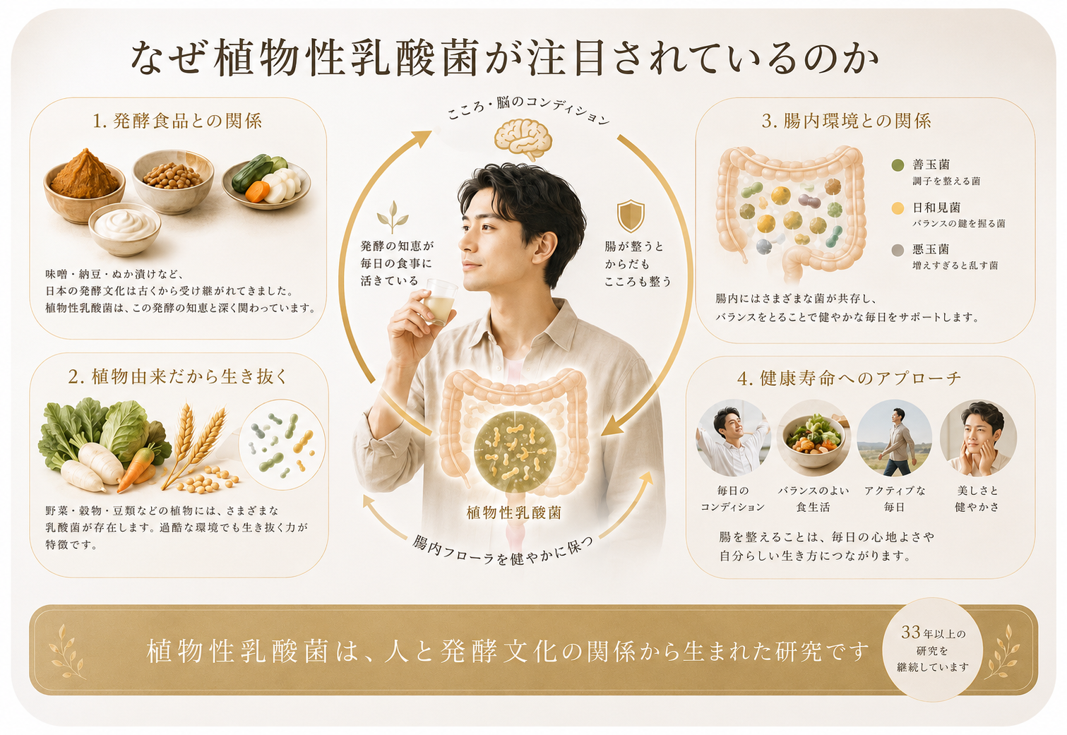 植物性乳酸菌が注目されている理由を説明する図解