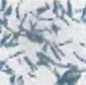 パラガゼイン菌の顕微鏡画像