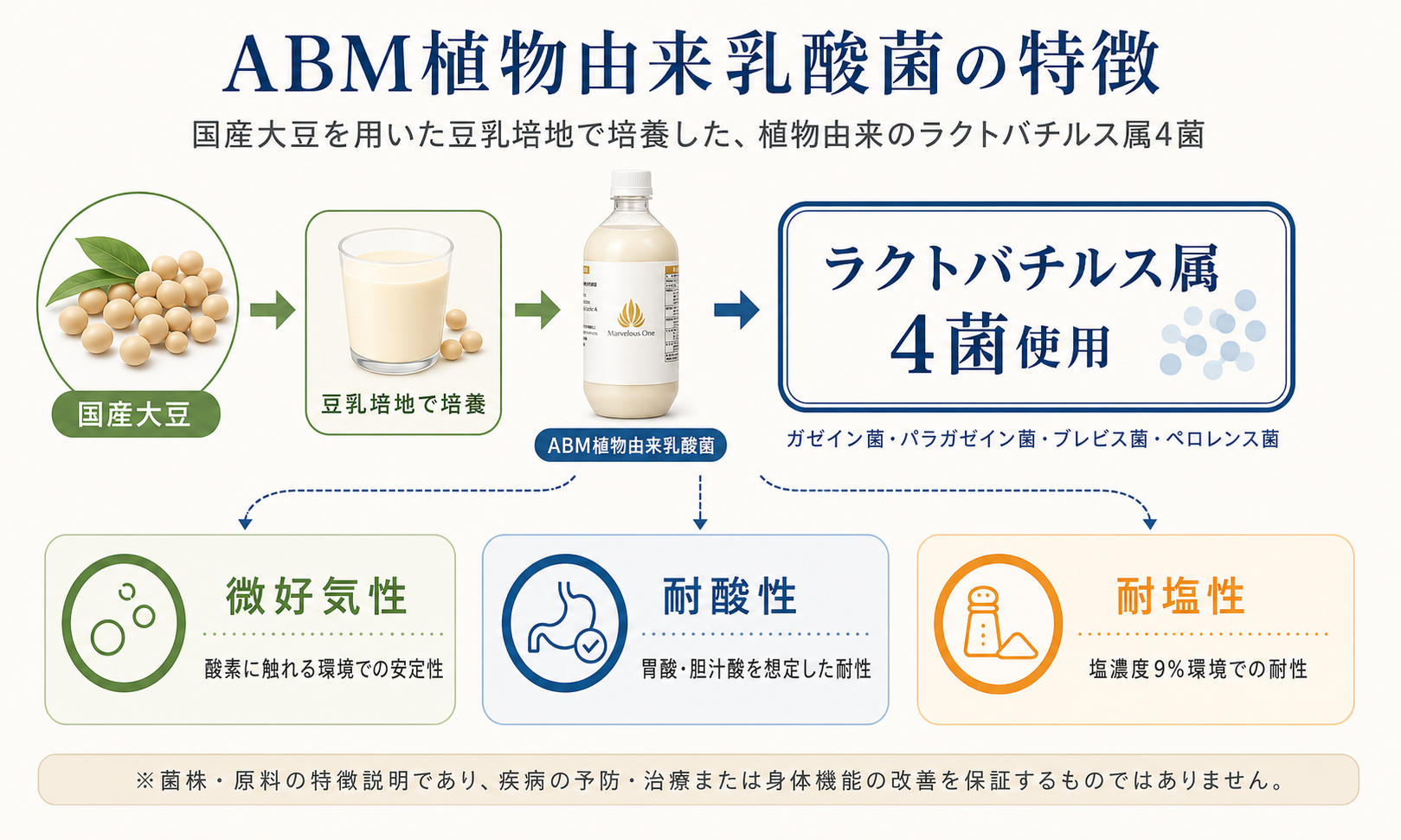 ABM植物由来乳酸菌の特徴。国産大豆を用いた豆乳培地で培養し、ラクトバチルス属4菌を使用。