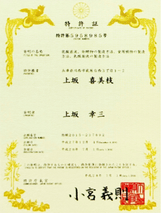 製造特許第5958985号の特許証